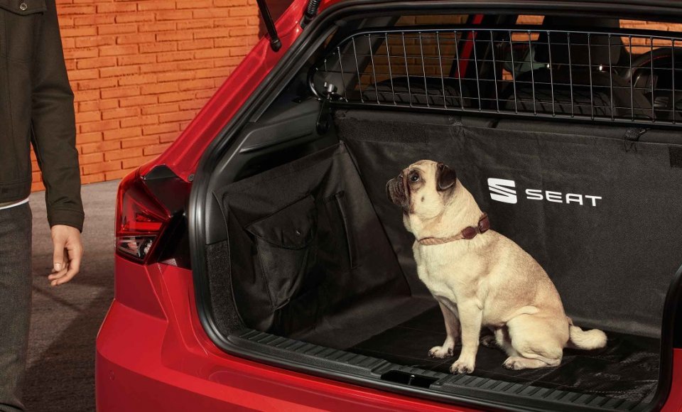 Jak przewozić psa w samochodzie: wskazówki których należy przestrzegać.